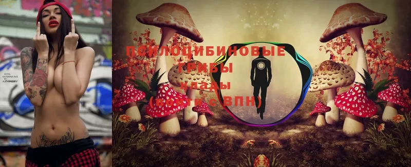 Галлюциногенные грибы Magic Shrooms  блэк спрут вход  Разумное 